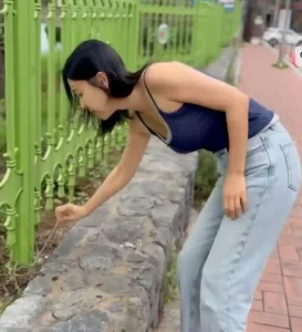 이지혜번호판논란